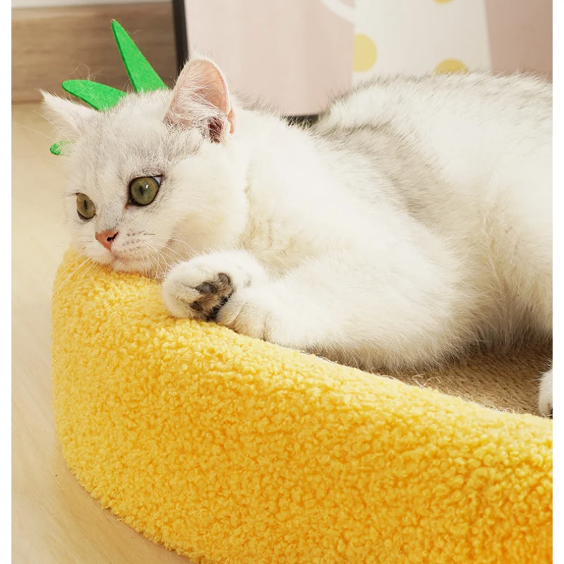 Katzenbett für 2 Katzen, Ovales Pinoapfel-Design, mit Kratzbrett & Weicher Plüsch, 61cm für Katzen gemütliche Stunden