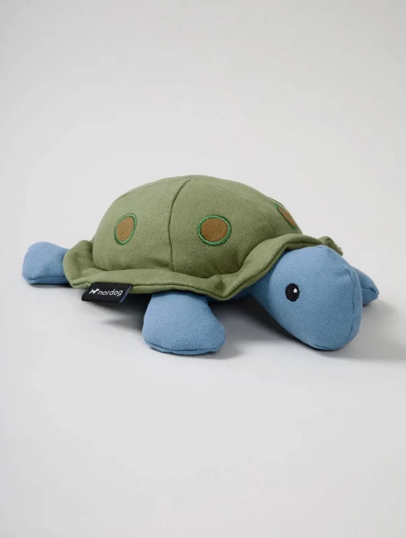 Kim die Schildkröte