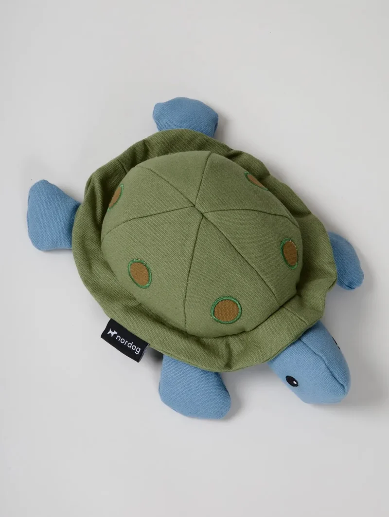 Kim die Schildkröte