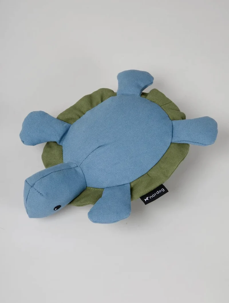 Kim die Schildkröte