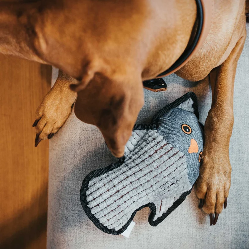 Hundespielzeug Kolding