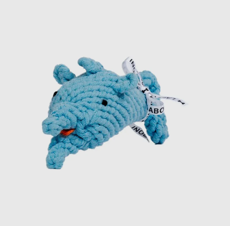 Didi Delfin