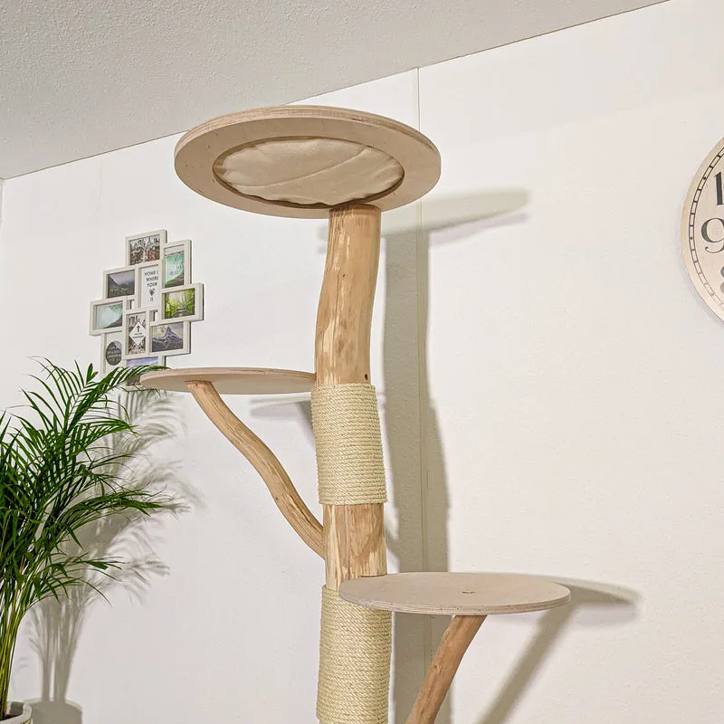 Naturkratzbaum 4146 Kratzbaum Natur Holz Design 198 cm hoch Katzenbaum