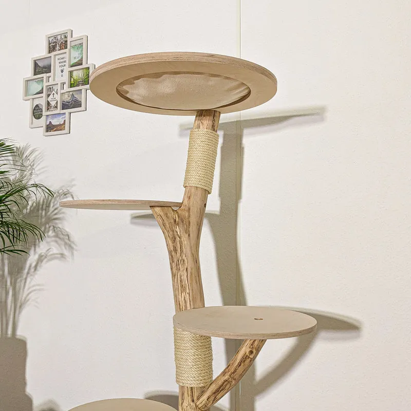 Naturkratzbaum 4126 Kratzbaum Natur Holz Design 157 cm hoch Katzenbaum