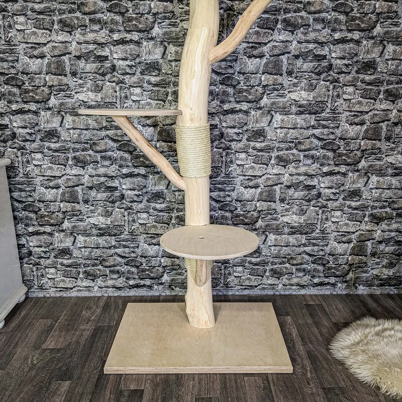 Naturkratzbaum 4098 Kratzbaum Natur Holz Design 200 cm hoch Katzenbaum