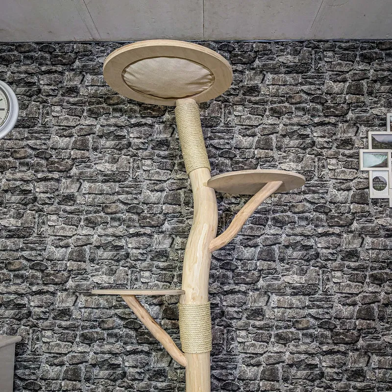 Naturkratzbaum 4098 Kratzbaum Natur Holz Design 200 cm hoch Katzenbaum