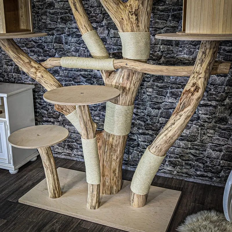 Naturkratzbaum 4074 Kratzbaum Natur Holz Design 220 cm hoch Katzenbaum