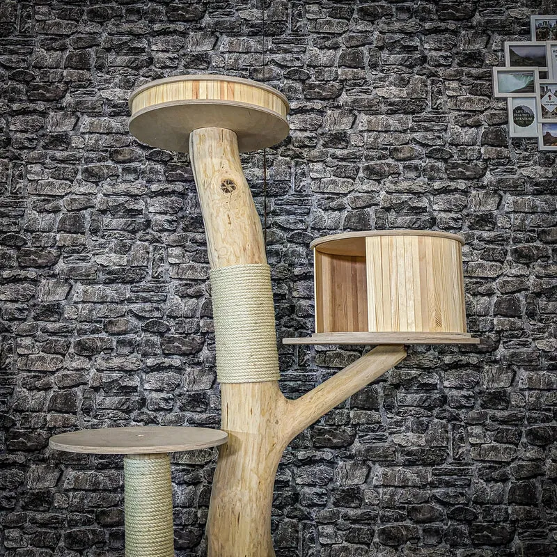 Naturkratzbaum 4075 Kratzbaum Natur Holz Design 152 cm hoch Katzenbaum