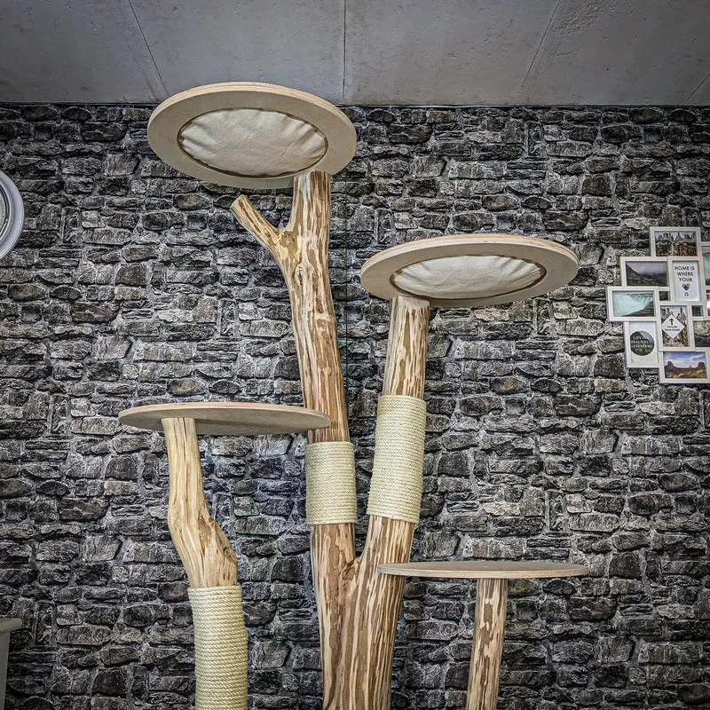 Naturkratzbaum 4078 Kratzbaum Natur Holz Design 210 cm hoch Katzenbaum