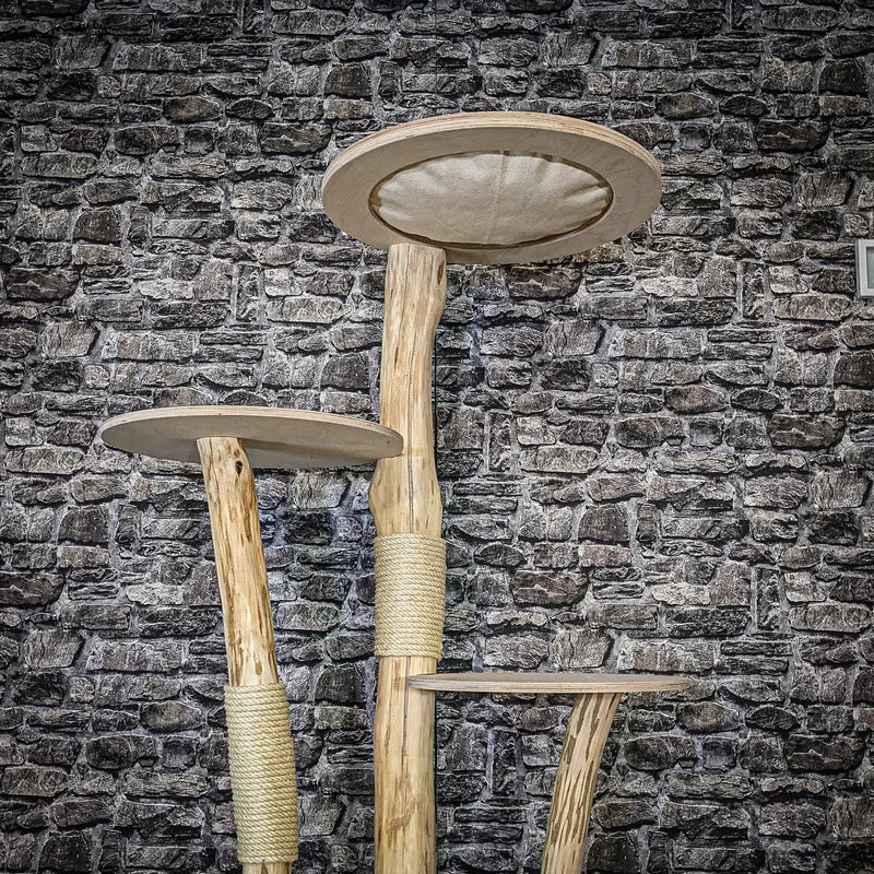 Naturkratzbaum 4083 Kratzbaum Natur Holz Design 175 cm hoch Katzenbaum