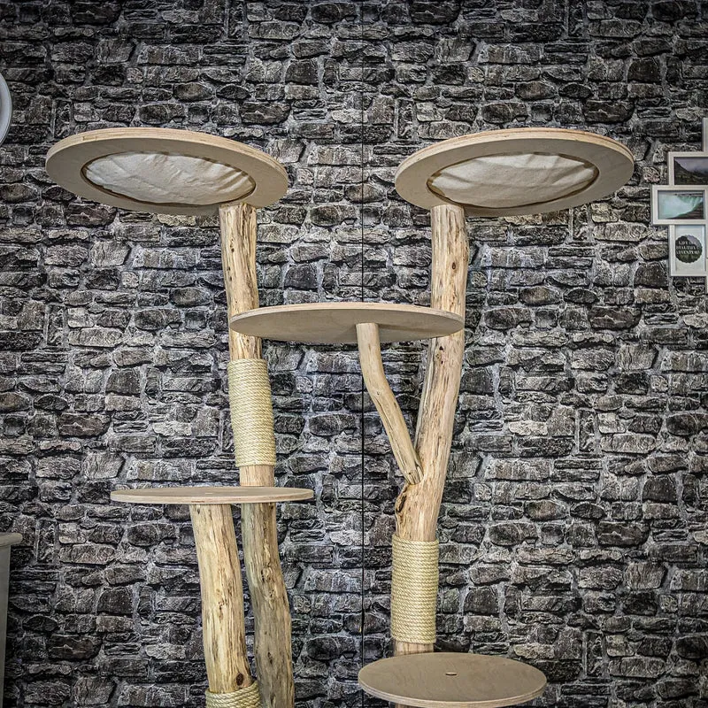 Naturkratzbaum 4085 Kratzbaum Natur Holz Design 170 cm hoch Katzenbaum