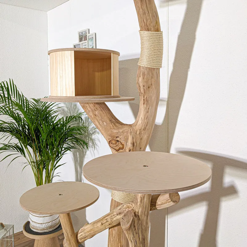 Naturkratzbaum 4086 Kratzbaum Natur Holz Design 210 cm hoch Katzenbaum