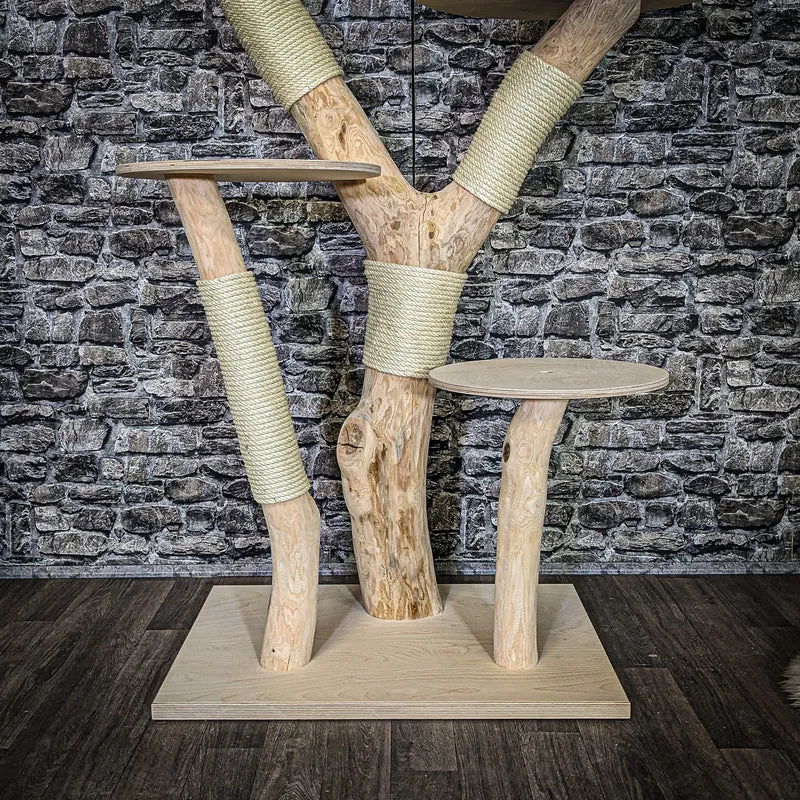 Naturkratzbaum 4089 Kratzbaum Natur Holz Design 173 cm hoch Katzenbaum