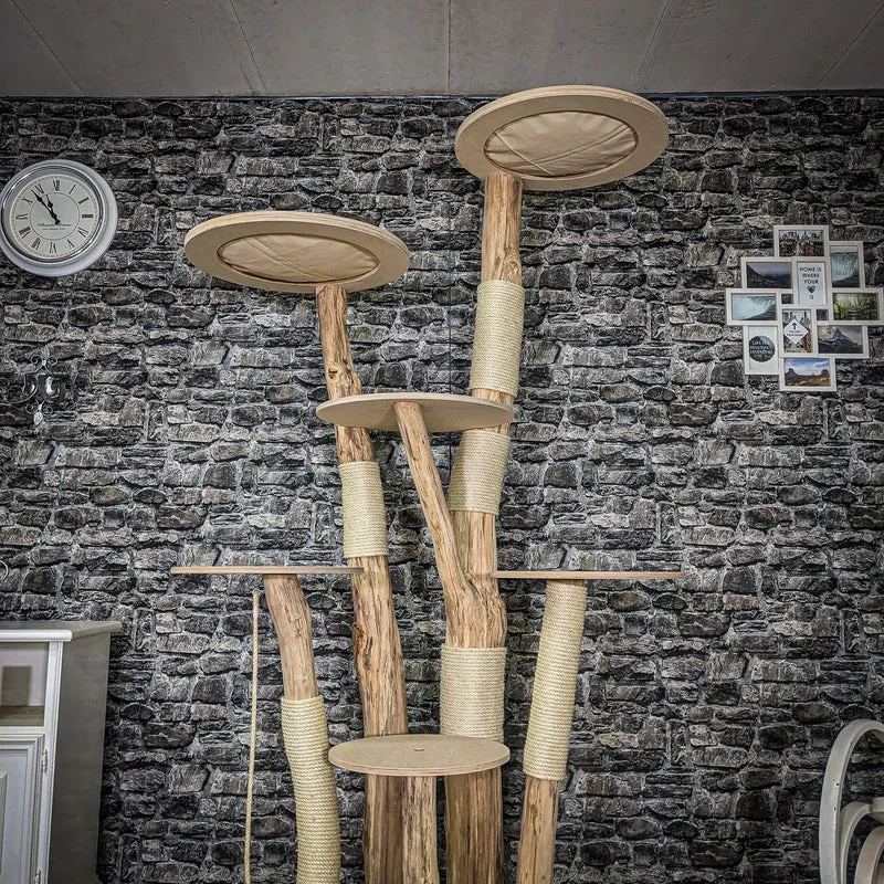 Naturkratzbaum 4067 Kratzbaum Natur Holz Design 210 cm hoch Katzenbaum