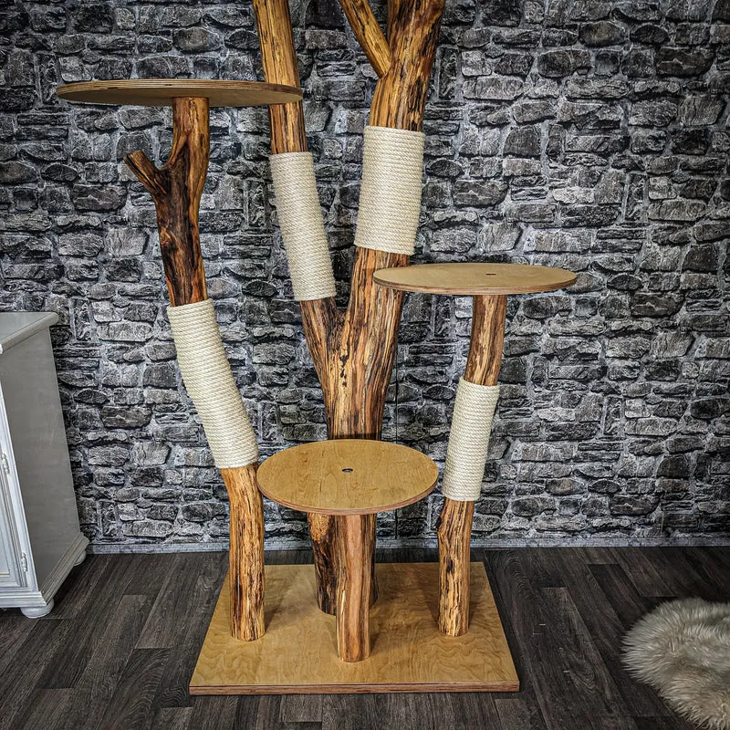 Naturkratzbaum 4061 Kratzbaum Natur Holz Design 205 cm hoch Katzenbaum