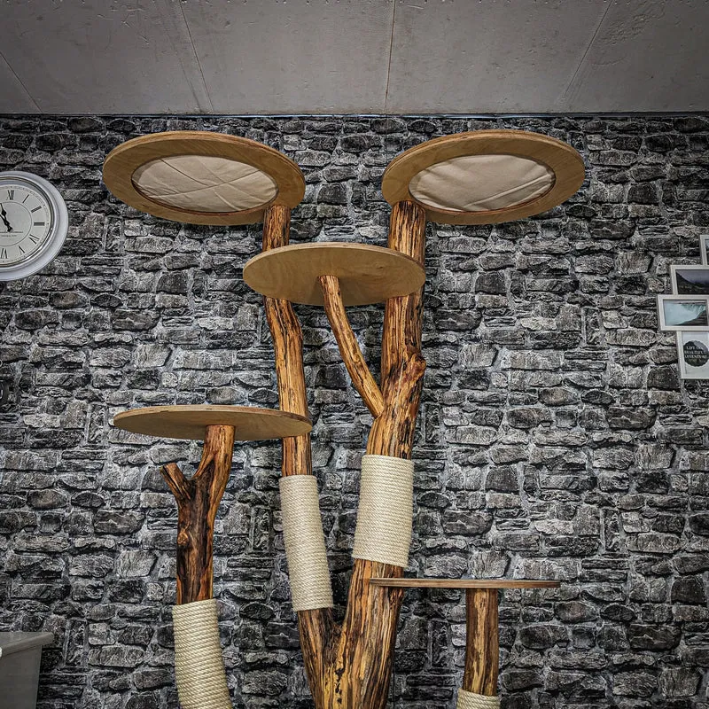 Naturkratzbaum 4061 Kratzbaum Natur Holz Design 205 cm hoch Katzenbaum