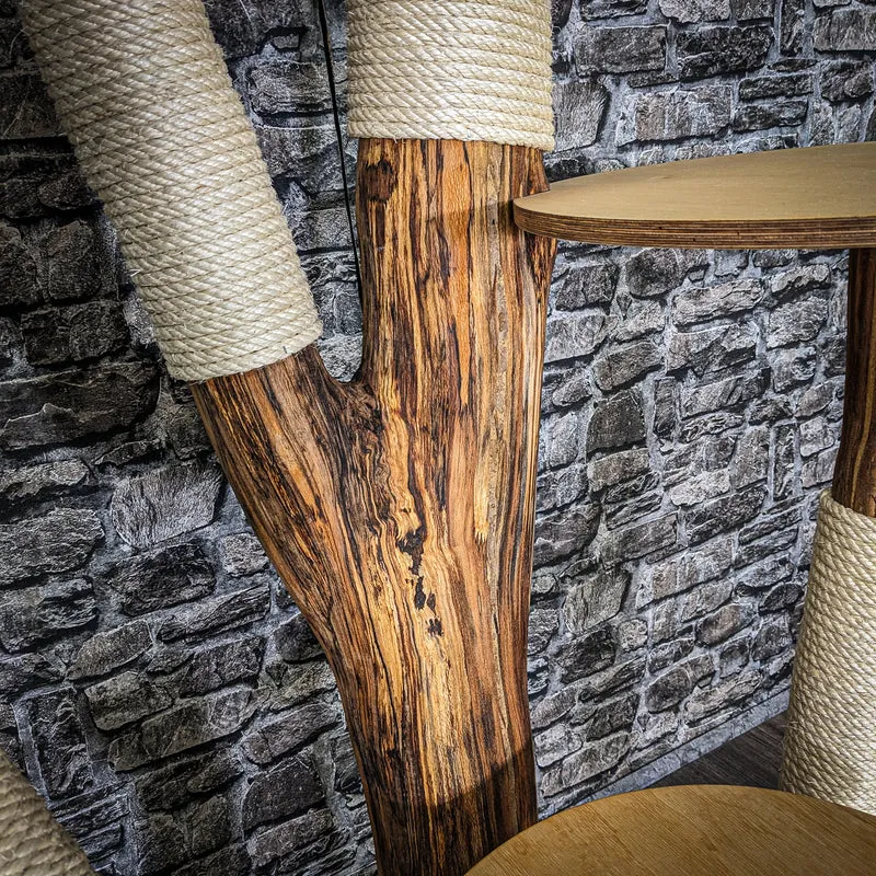 Naturkratzbaum 4061 Kratzbaum Natur Holz Design 205 cm hoch Katzenbaum