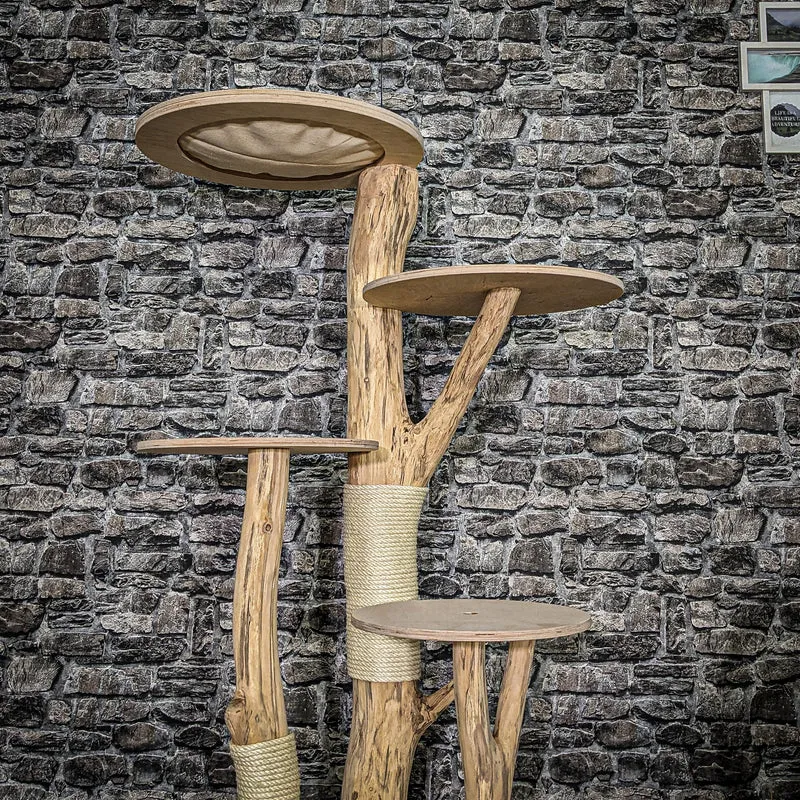 Naturkratzbaum 4055 Kratzbaum Natur Holz Design 145 cm hoch Katzenbaum