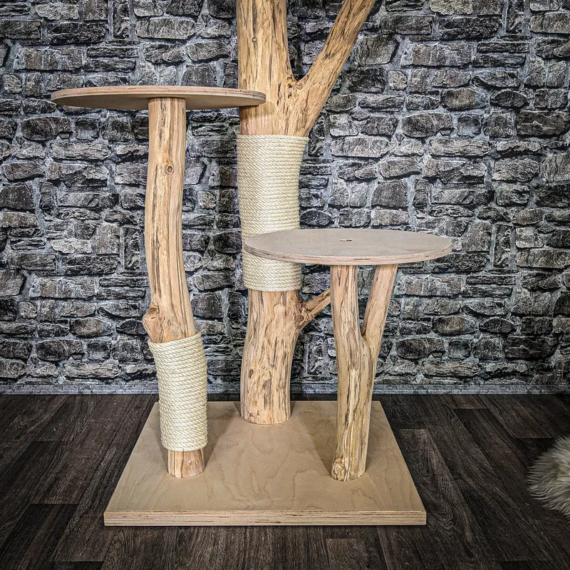 Naturkratzbaum 4055 Kratzbaum Natur Holz Design 145 cm hoch Katzenbaum