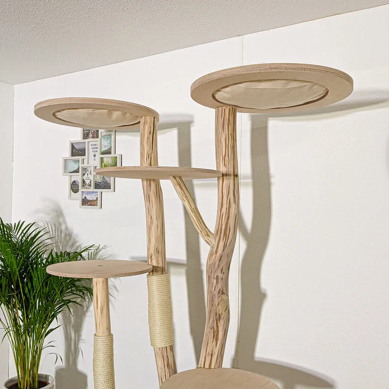 Naturkratzbaum 4045 Kratzbaum Natur Holz Design 206 cm hoch Katzenbaum