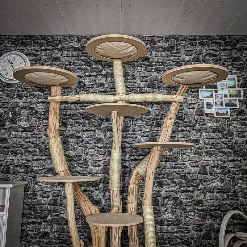 Naturkratzbaum 4043 Kratzbaum Natur Holz Design 205 cm hoch Katzenbaum