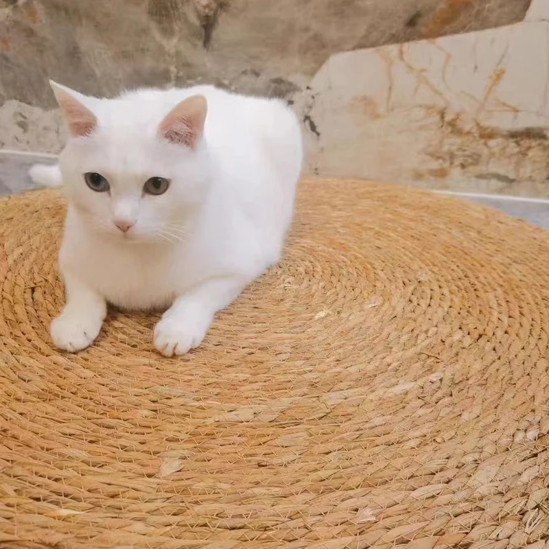 Kratzbrett für Katzen, Katzenbett Rattan Katzenschlafmatte, Krallenschleifen Verschleißfest, Vier Größen