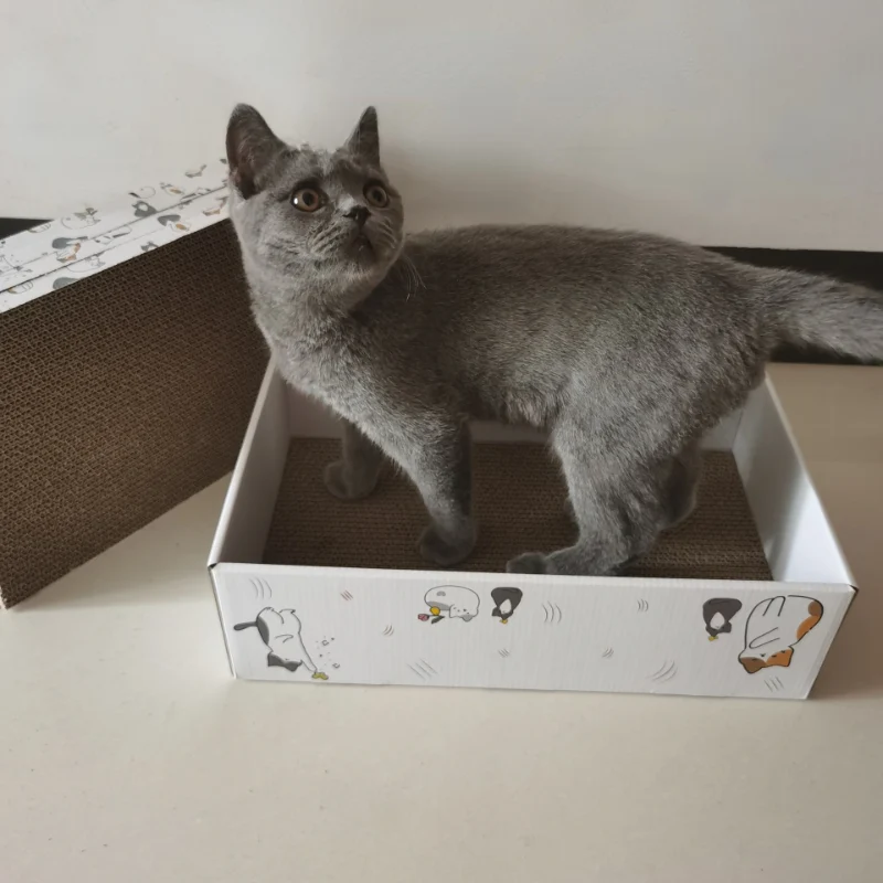 Katzen Kratzbrett Pappe, Hochwertige und Umweltfreundliches, Katzenbettruhe, Ersatz-Kratzbrett, 5 Stück pro Karton