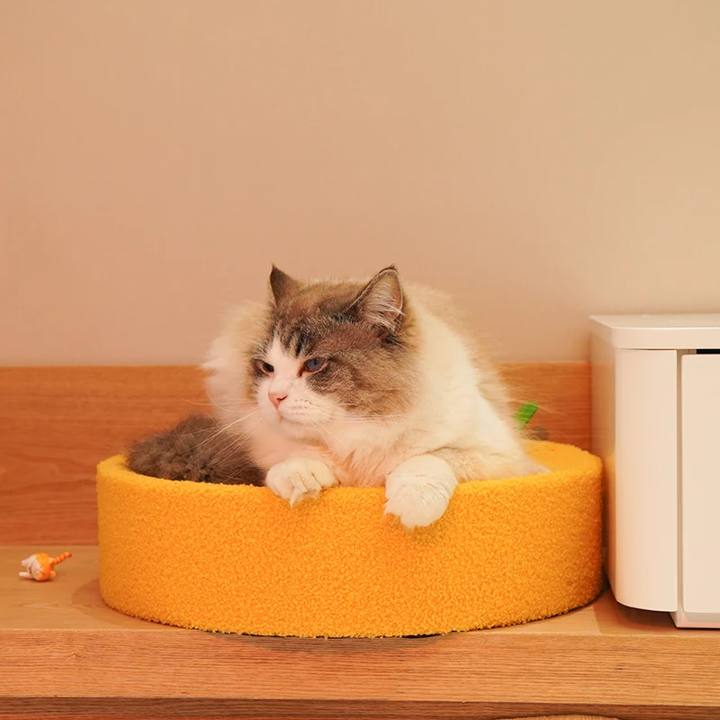 Kratzbrett Katze mit integriertem Katzenbett, hochwertigem Sisal Material, Orange Thema, perfekt zum Austoben für Katzen