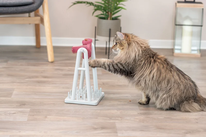 Katzenstrategiespiel "Turn Around", befüllbar mit Snacks