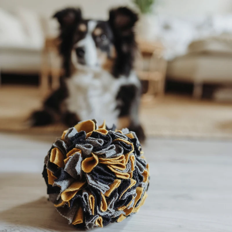 Hundespielzeug Schnüffelball Eiby