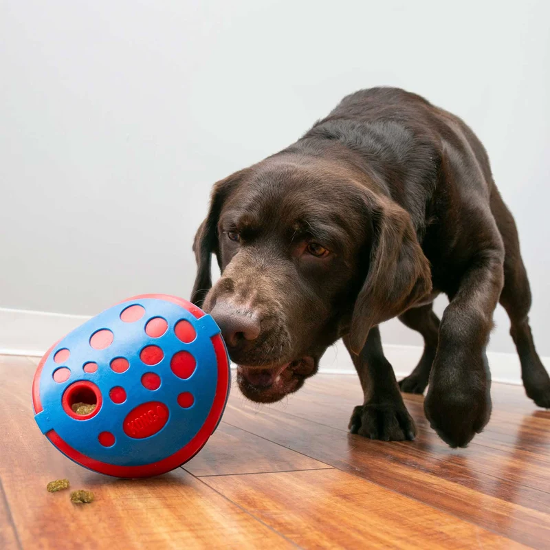 Hundespielzeug KONG® Rewards Wally®