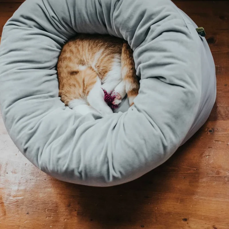 Bett Hund/Katze Miranda Polyester grau