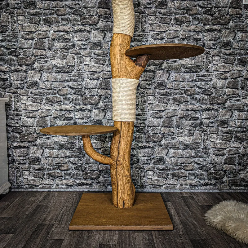 RESERVIERT - Outdoor Naturkratzbaum 4007 Kratzbaum Natur Holz Design 165 cm hoch Katzenbaum