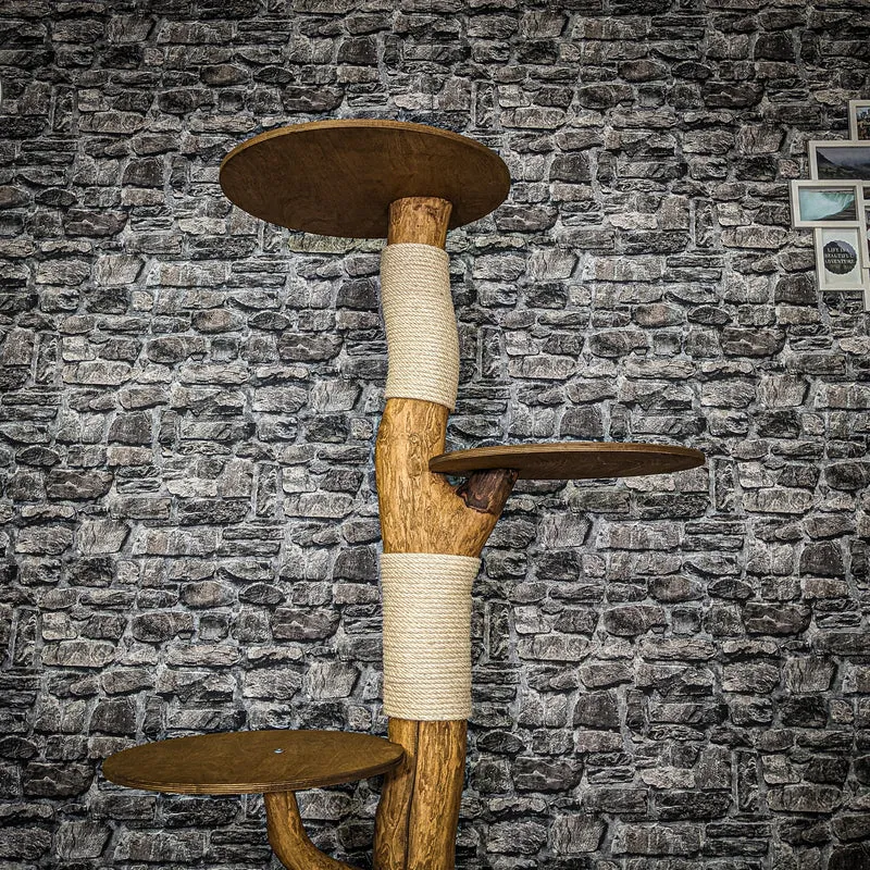 RESERVIERT - Outdoor Naturkratzbaum 4007 Kratzbaum Natur Holz Design 165 cm hoch Katzenbaum