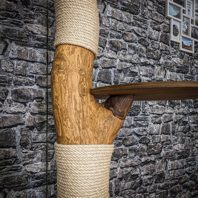 RESERVIERT - Outdoor Naturkratzbaum 4007 Kratzbaum Natur Holz Design 165 cm hoch Katzenbaum