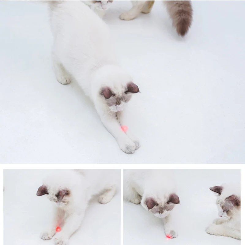 Katzenspielzeug Laserpointer für Katzen interaktive Unterhaltung, zufällige Farben, 2 Modi (Laser und LED), Spaß und Bewegung