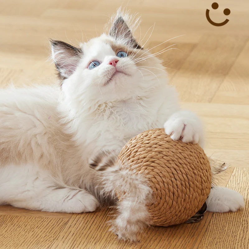 Kratzkugel Katze Sisalball Sound übergroße Selbstunterhaltung zur Linderung von Langeweile und Backenzähnen