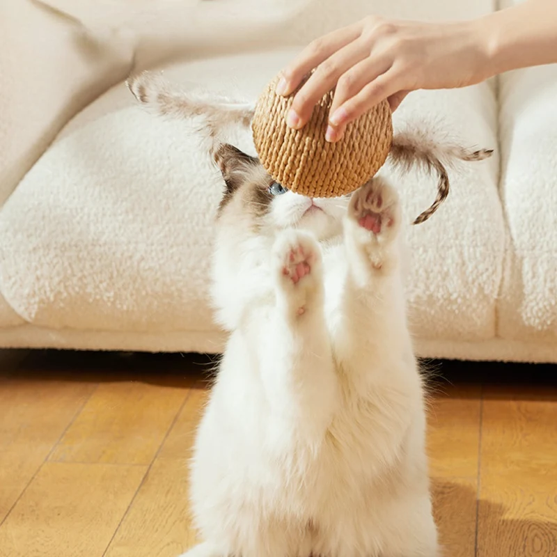 Kratzkugel Katze Sisalball Sound übergroße Selbstunterhaltung zur Linderung von Langeweile und Backenzähnen