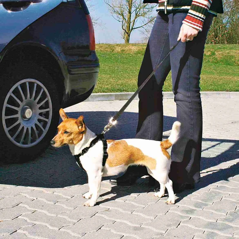 Autogeschirr für Hunde mit Anschnallgurt