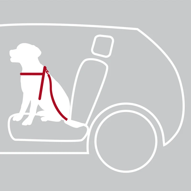 Autogeschirr für Hunde mit Anschnallgurt