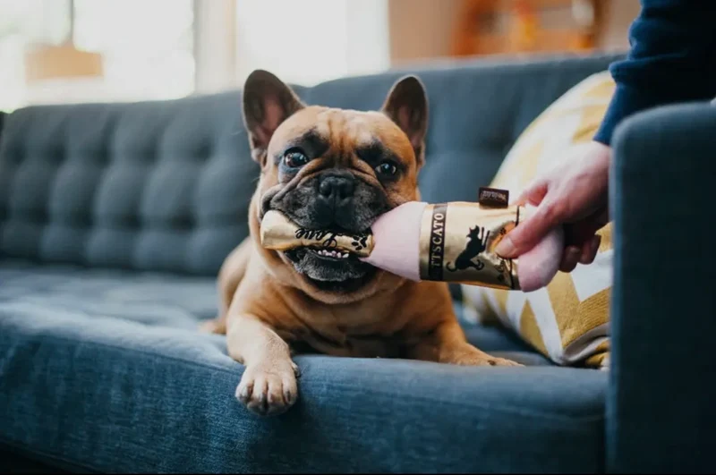 Hundespielzeug Sektflasche sprudelnd