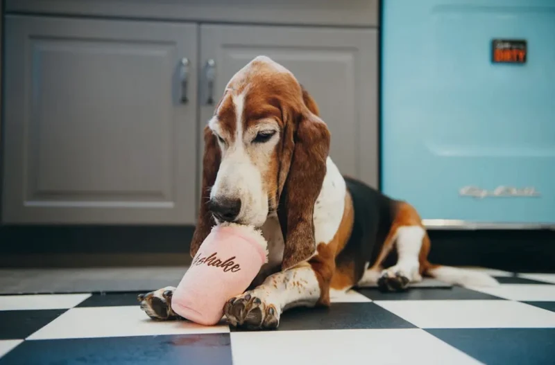 Hundespielzeug Milchshake