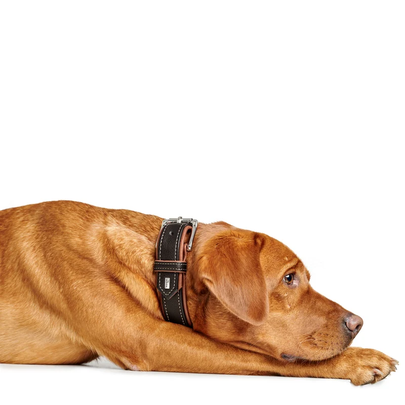 Halsband Canadian Up