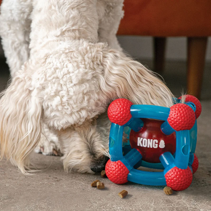 Hundespielzeug KONG® Rewards Tinker