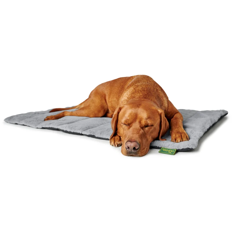 Hunde-Reisedecke Rockford