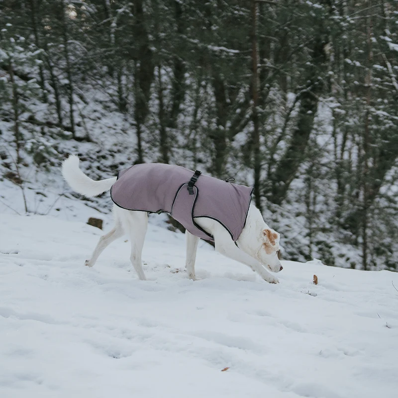 Hundemantel Uppsala