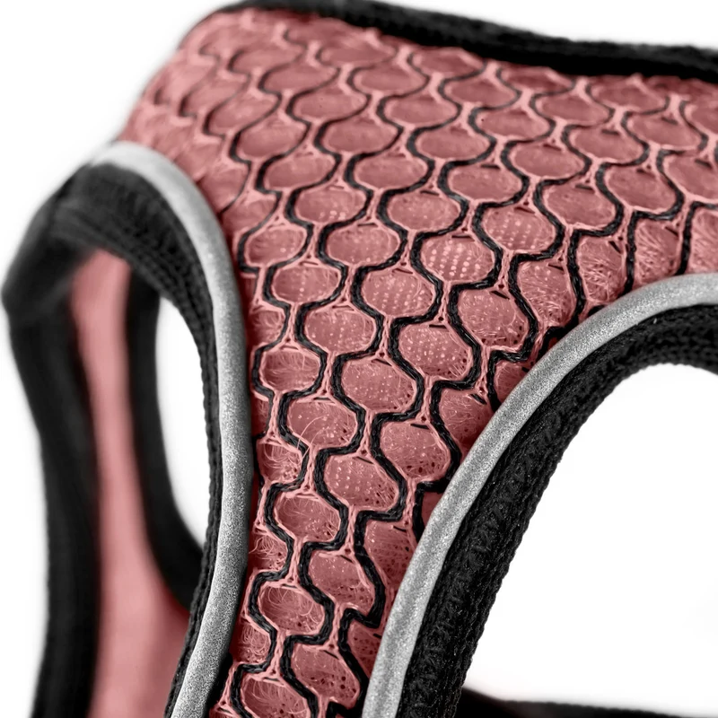 Geschirr Hilo Comfort