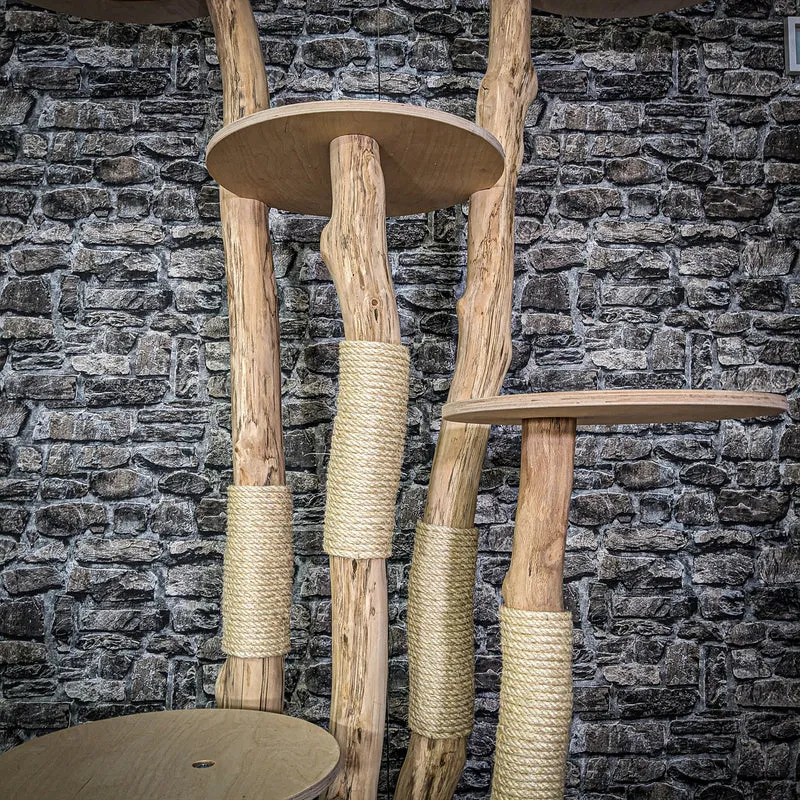 Naturkratzbaum 3979 Kratzbaum Natur Holz Design 175 cm hoch Katzenbaum