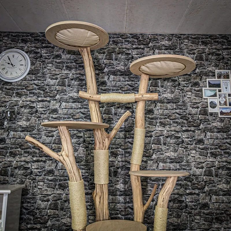 Naturkratzbaum 3952 Kratzbaum Natur Holz Design 215 cm hoch Katzenbaum