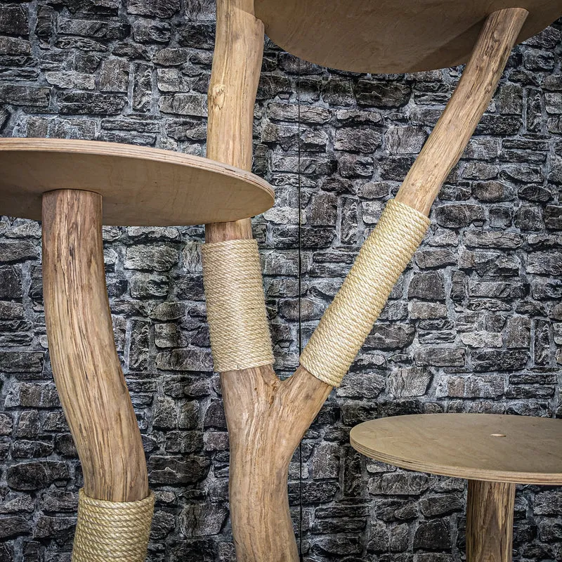 Naturkratzbaum 3950 Kratzbaum Natur Holz Design 205 cm hoch Katzenbaum